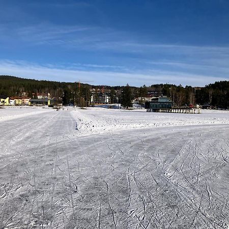 Apartment Marta Lipno nad Vltavou Eksteriør billede