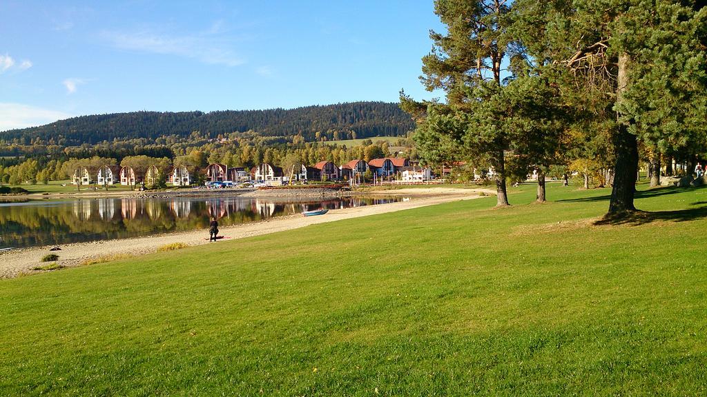 Apartment Marta Lipno nad Vltavou Eksteriør billede